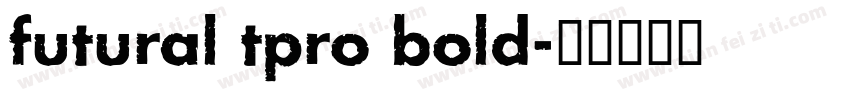 futural tpro bold字体转换
